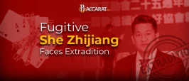 Fugitive She Zhijiang Faces Extradition