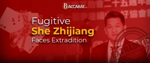 Fugitive She Zhijiang Faces Extradition