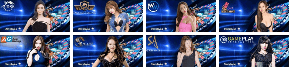 K9Win - Đại lý trực tiếp