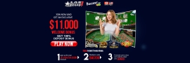 Las Vegas USA Casino Review