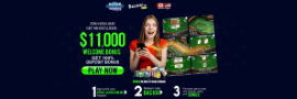 Vegas Casino Casino Review